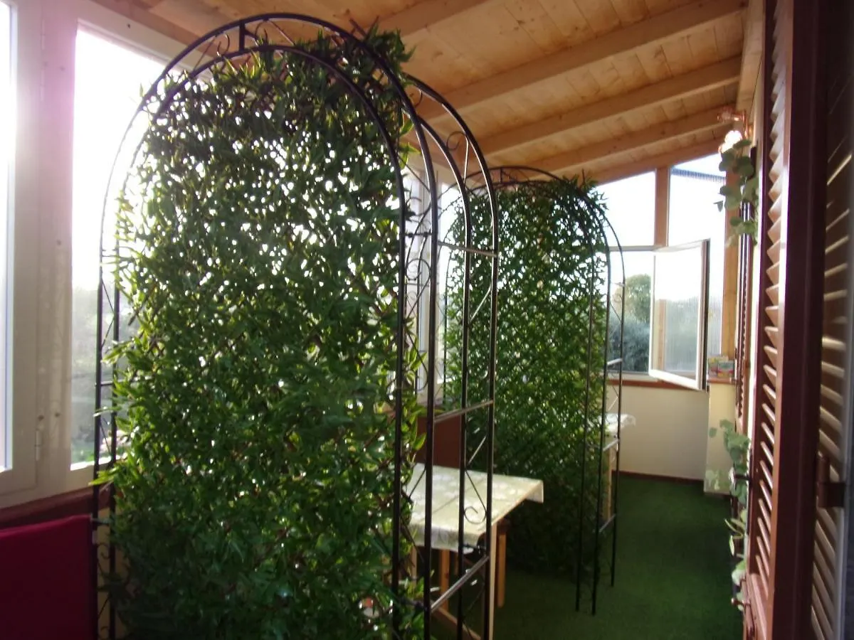Greens Harmony Bed and Breakfast Pisa 0*,